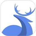 灵鹿录音转文字