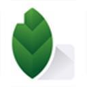 照片墙切图拼图