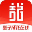 望子成龙在线教育