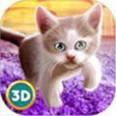 家猫3D