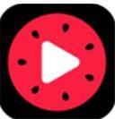 西瓜视频(头条视频)