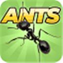 蚂蚁模拟器