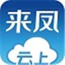 云上来凤