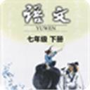 七年级语文下册人教版