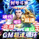 传奇演义手机版（GM超速魂环工具）