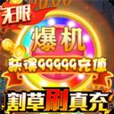 幻想圣域-割草刷真充