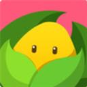 美柚孕期app下载安装