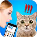 猫狗语言翻译器