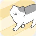 猫咪很可爱游戏