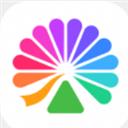 大麦网app下载软件