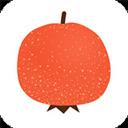 山楂免费小说-热门小说免费阅读器