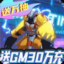 小黑的宝藏-送GM30万充