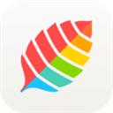 薄荷健康客户端