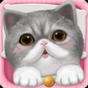 高德地图手机导航