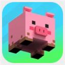 猪猪闯迷宫