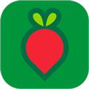 叮咚买菜app官方