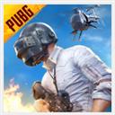 和平精英国际服游戏