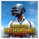 国际服绝地求生