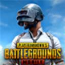 pubg国际服正版地铁逃生