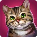 可爱猫舍CatHotel