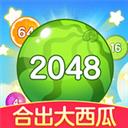 合出大西瓜