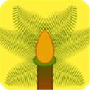 铁树花转发赚钱