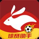 喜玩兔体育APP