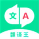 翻译王