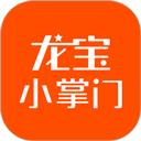 龙宝小掌门