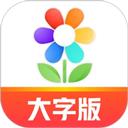大字版天天看软件