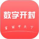 数字开封