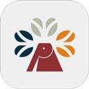 同成艺术商家端