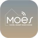 MOES