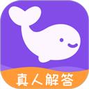 准准-星座运势问答