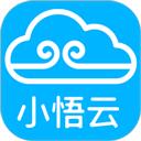 小悟云