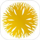 长葛轩辕村镇银行手机银行