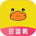 知播鸭