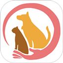 百速达宠物托运