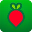 叮咚买菜最新版